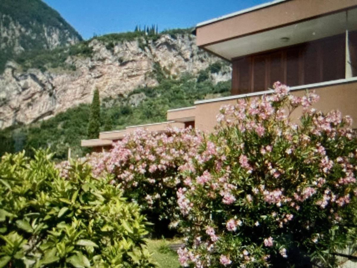 Appartamento Peppino Mit Seeblick Und Pool ريفا ديل غاردا المظهر الخارجي الصورة